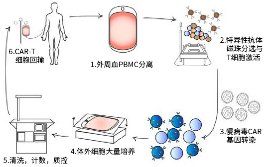 免疫细胞治疗流程（CAR-T为例）_阅微基因_慢病毒插入位点检测浅析