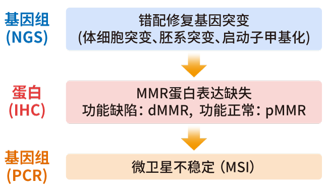 MSI/MMR检测方法_阅微基因